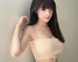 基础介绍资料包